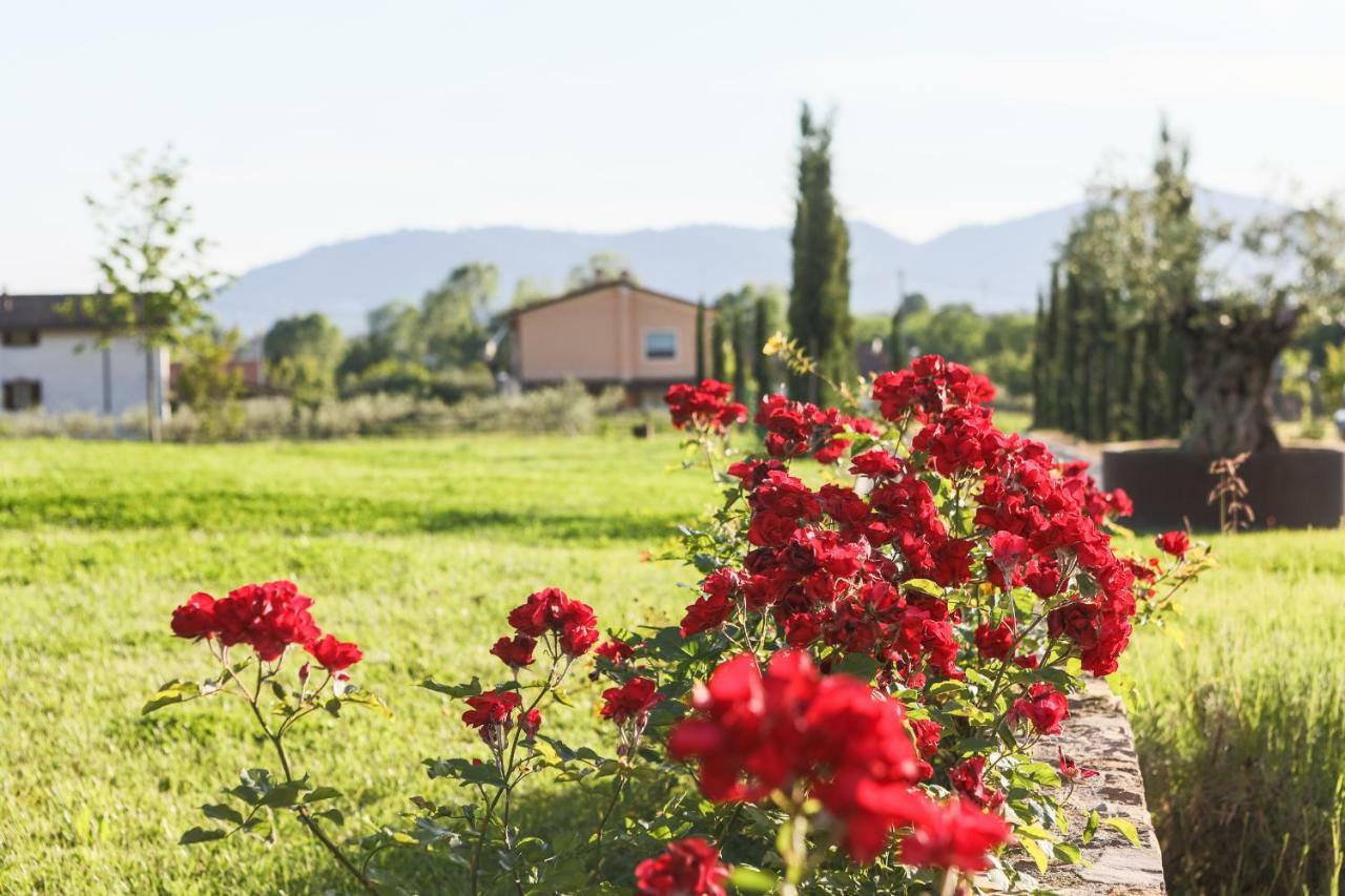 Le Mas Di Laura Otel Ortonovo Dış mekan fotoğraf